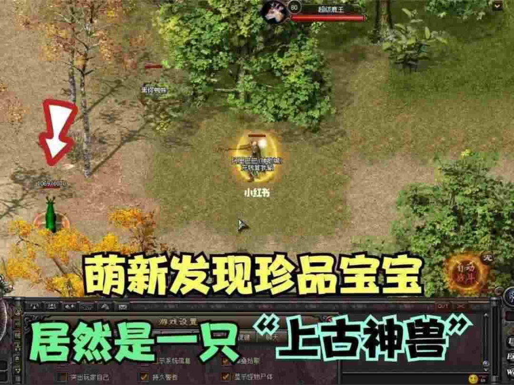 无任务泡点的传奇之热血传奇热血令有什么用